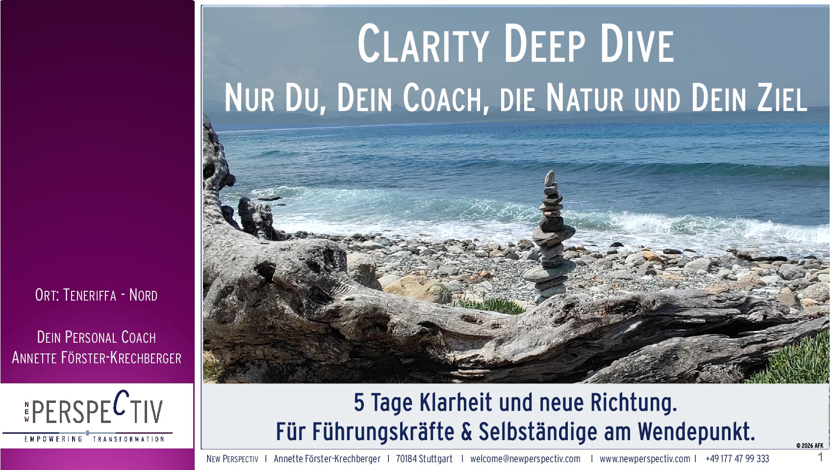 Immersions - Clarity Deep Dive Info-final_de