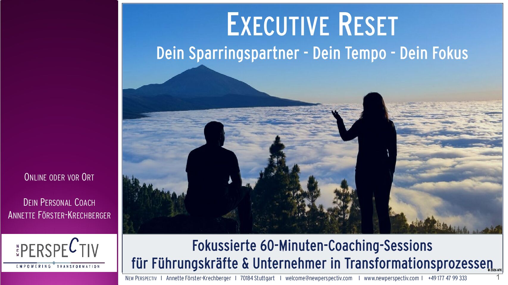 Immersions_Executive Reset_de